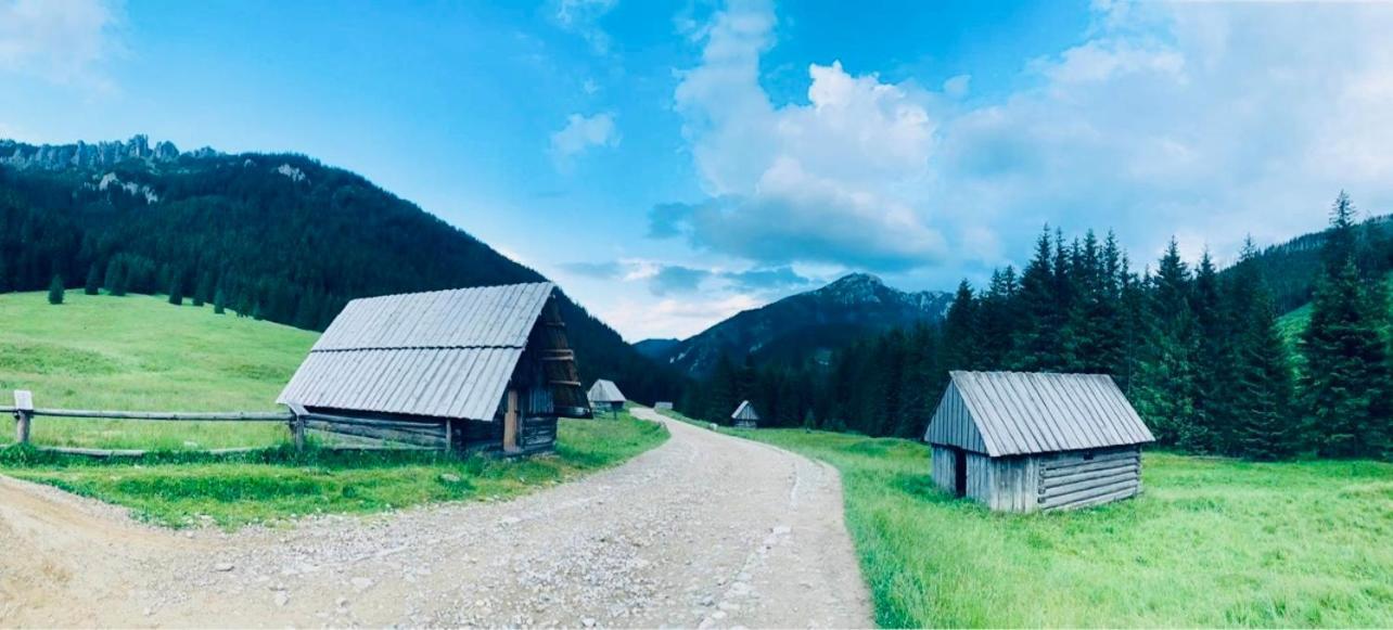 Goralska Chatka كوشتيليسكا المظهر الخارجي الصورة